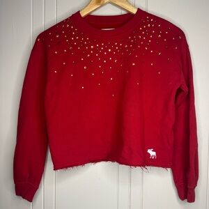 Abercrombie kids Red Embellished sweatshirt
